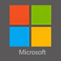 microsoft Developer in delhi by bigsea infotech