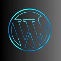 wordpress Developer in delhi by Bigsea Infotech